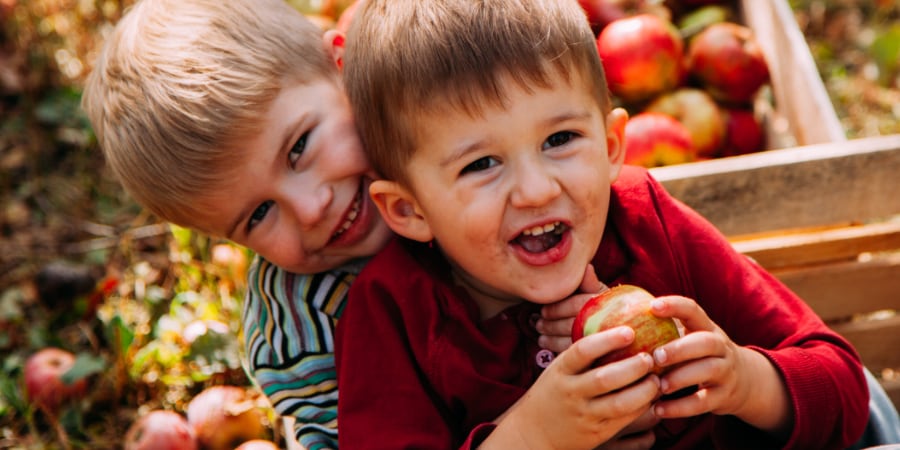 Two brothers riding in a wagon and eating apples