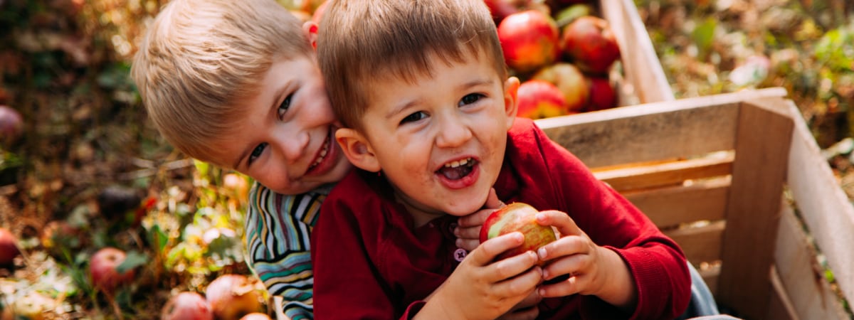 Two brothers riding in a wagon and eating apples