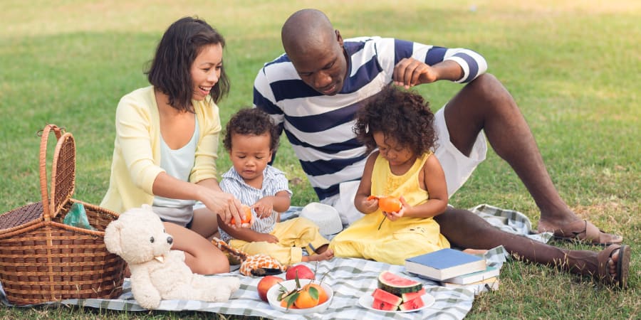 An interracial family enjoys a picnic in the park